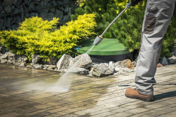Pre-Holiday Cleaning in Cypress Lake, FL