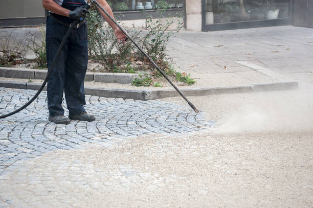 Best Boat and Dock Cleaning  in Cypress Lake, FL