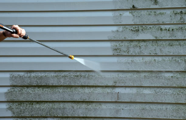 Best Sidewalk and Walkway Cleaning  in Cypress Lake, FL